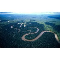 amazon river.jpg